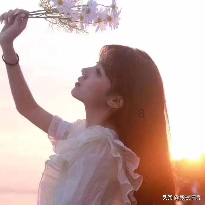 寂静森林找星星
